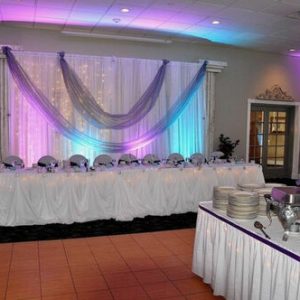 Cinderella Table Skirting (stringed)